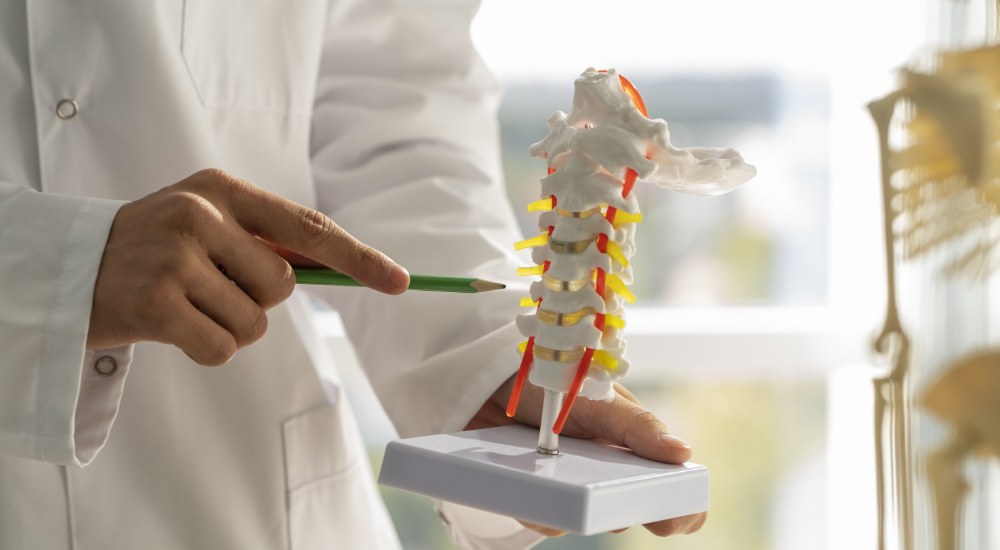 Physiotherapie in Leer - Ortho Konzept